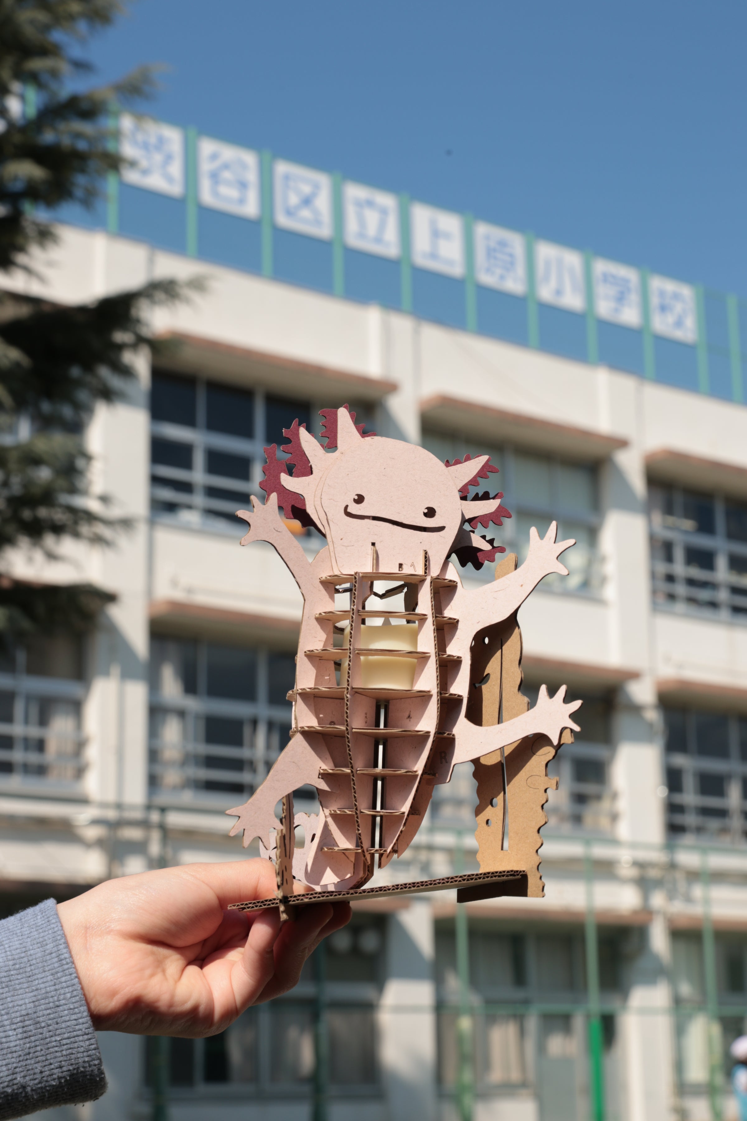 商品 | DAMBO